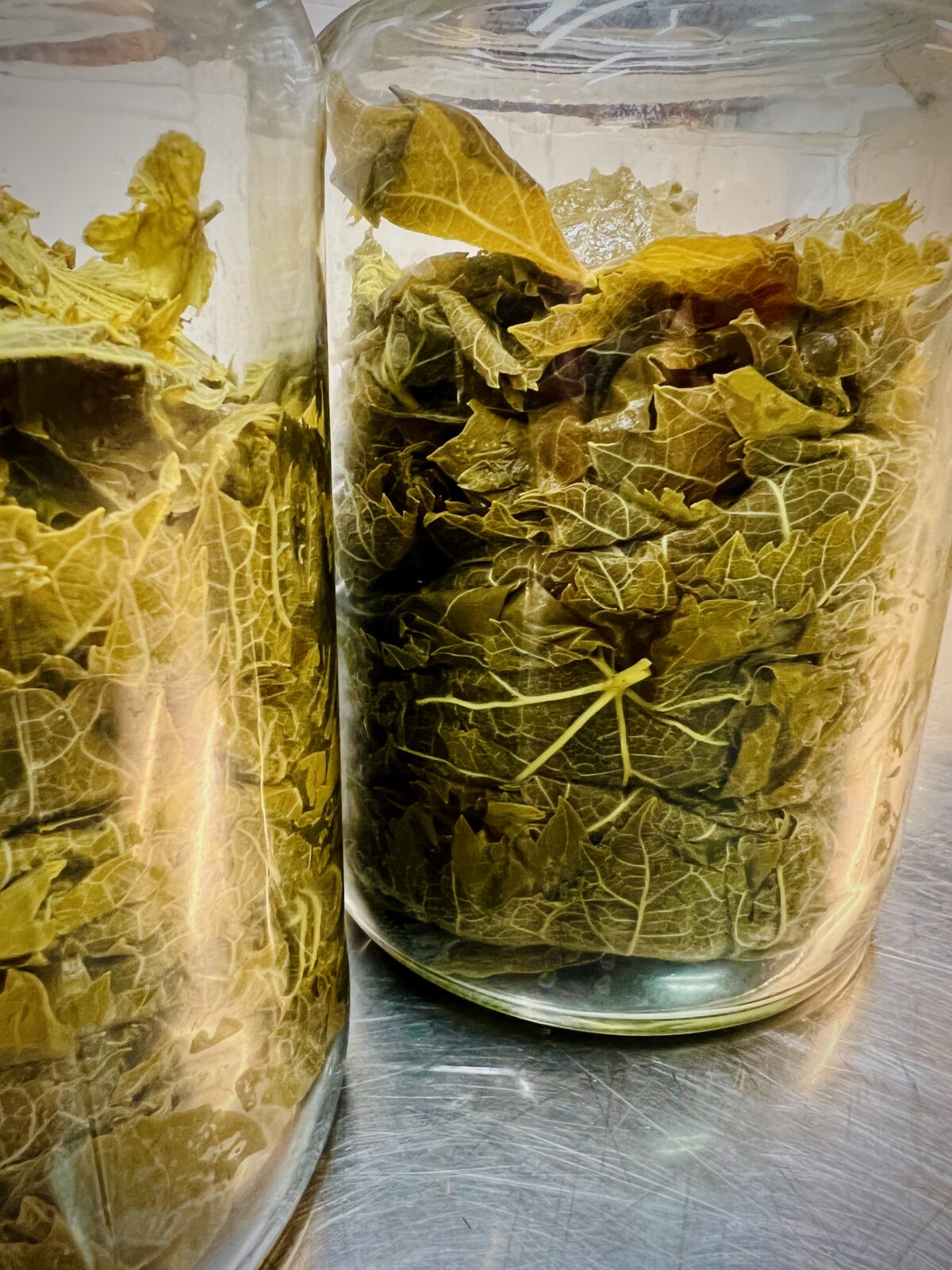 the blanched vine leaves are waiting to be doused with brine